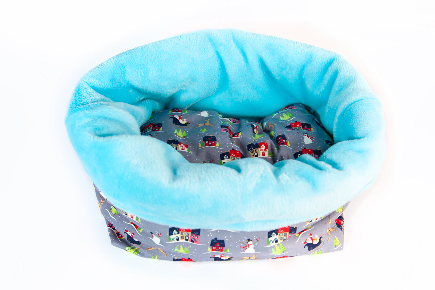 Fröhliche Schlittenfahrt