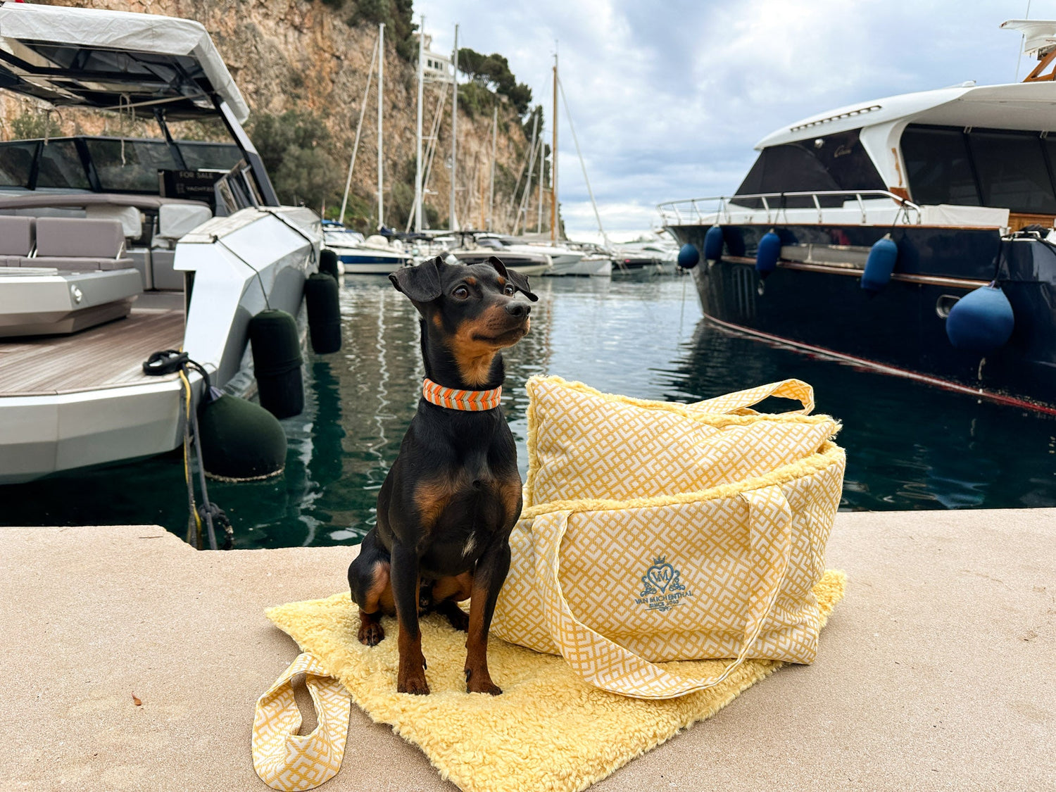Hundedecken – Vertrauter Platz für unterwegs
